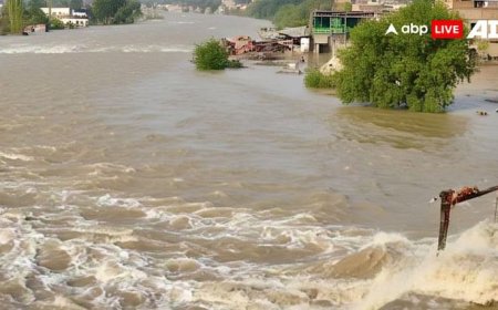 भारत ने झेलम में छोड़ा पानी और पाकिस्तान में आ गई बाढ़, दहशत में आए लोग, लगी इमरजेंसी