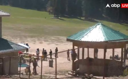 पर्यटकों के लिए जून में खुलती है बैसरन घाटी! सरकार के दावे में कितना दम? जानें क्या बोले PDA अधिकारी