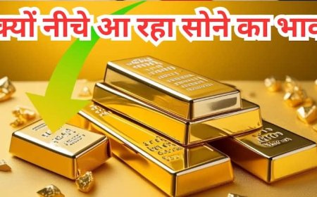 क्यों ऐतिहासिक स्तर 1 लाख को छूने के बाद अब नहीं बढ़ रही सोने की कीमत, इन फैक्टर्स ने किया काम