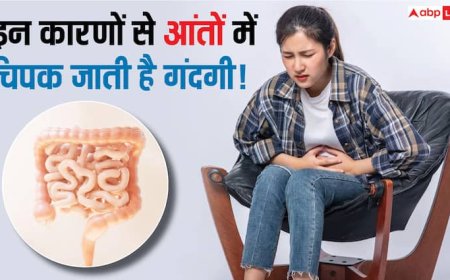 आंतों में इन कारणों से चिपकने लगती हैं गंदगी, खाना-पीना पचाना हो जाता है मुश्किल