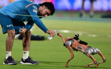 IPL 2025 में रोबोट डॉग का नाम 'चंपक' रखने पर BCCI को हाई कोर्ट का नोटिस, कोहली का नाम भी आया बीच में; जानिए क्यों
