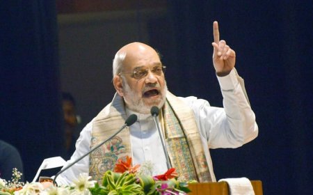 'किसी को नहीं छोड़ेंगे, चुन-चुन कर मारेंगे', पहलगाम हमले पर दहशतगर्दों को अमित शाह की वॉर्निंग