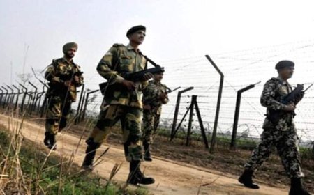 बांग्लादेश में बढ़ रही कट्टरपंथियों की एक्टिविटी, बॉर्डर पर बढ़ी सुरक्षा बलों की तैनाती, जानें BSF ने क्यों जताई चिंता