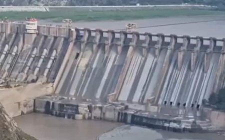 हाईड्रोपावर प्रोजेक्ट ने उड़ाई पाकिस्तान की नींद! चिनाब पर पानी रोकने की असली वजह समझ नहीं पाए शहबाज