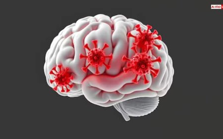 दिमाग में इन्फेक्शन होने पर दिखाई देते हैं ये लक्षण, जानिए इसके पीछे की वजह