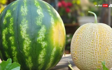 Health Tips: भीषण गर्मी में ऐसा तरबूज और खरबूजा सेहत के लिए हो सकते हैं हानिकारक, जानिए क्यों?