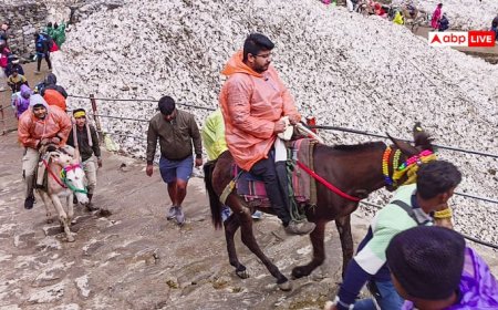 Chardham Yatra 2025: केदारनाथ यात्रा के पैदल मार्ग पर घोड़े-खच्चर मिलेंगे या नहीं? सामने आई ये अपडेट