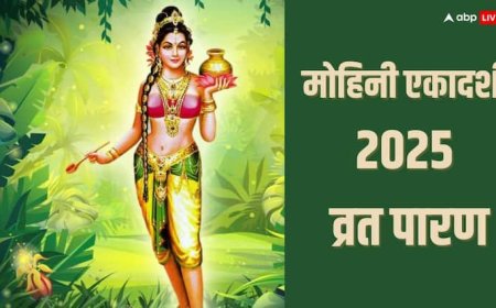Mohini Ekadashi 2025 Vrat Paran: मोहिनी एकादशी पारण के समय न करें ये गलती, रुठ जाते हैं भगवान नहीं मिलता है पूरा फल