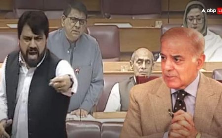 ऑपरेशन सिंदूर से गूंज उठी पाक संसद: 'हमारे पीएम बुजदिल, गीदड़ ये मोदी के नाम से...', भरी पार्लियामेंट में PAK सांसद ने शहबाज को लगाई लताड़