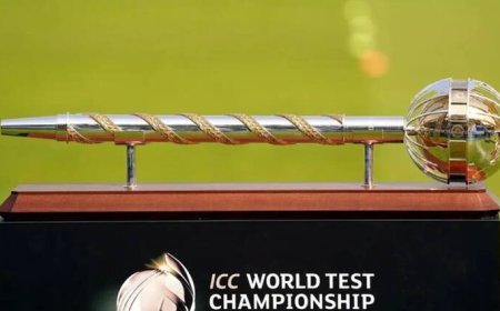 वर्ल्ड टेस्ट चैंपियनशिप पर ऐतिहासिक फैसला! BCCI लेने वाला है बड़ी जिम्मेदारी