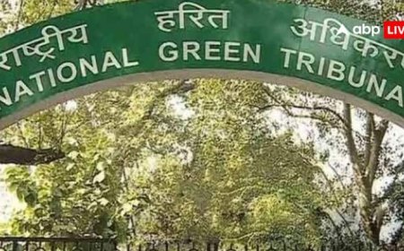 गंगा में प्रदूषण पर NGT ने जताई कड़ी नाराजगी, कहा- नालों से बह रहा गंदा पानी आखिर कब रुकेगा?
