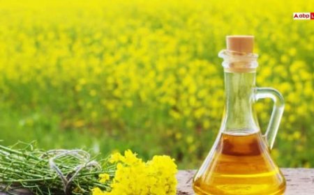 सफेद होते बालों को काला करे सरसों का तेल, बस इन तरीकों से कर लें इस्तेमाल