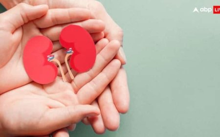 किडनी ट्रांसप्लांट या डायलिसिस, डॉक्टर से समझिए कब पड़ती है किसकी जरूरत?