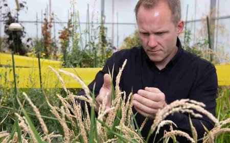 बस मिट्टी से दोस्ती कीजिए और सालों लंबी जिंदगी पाइए, वैज्ञानिकों ने खोजा बागवानी का ये राज