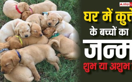 घर में कुत्ते के बच्चों का जन्म होना शुभ संकेत हैं या फिर बुरा वक्त आने वाला है?