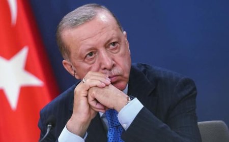 भारी पड़ा पाकिस्तान से प्यार! तुर्किए पर हो गई ट्रेड स्ट्राइक, उदयपुर में मार्बल तो पुणे में सेब का बॉयकॉट