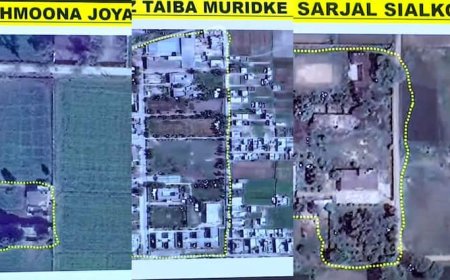 भारत ने ध्वस्त किए पाकिस्तानी एयरबेस तो PAK के 6 'दोस्तों' ने इंडिया पर दागीं साइबर मिसाइलें