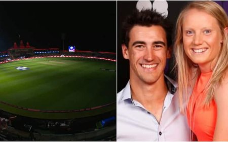 'अचानक हमें वैन में ठूंस...', मिचेल स्टार्क की वाइफ ने बताया कैसा था मंजर; जब रोका गया पंजाब-दिल्ली मैच