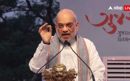 'जिस पहाड़ पर कभी लाल आतंक का राज था, वहां आज शान से तिरंगा लहरा रहा', 31 नक्सलियों की मौत पर बोले अमित शाह