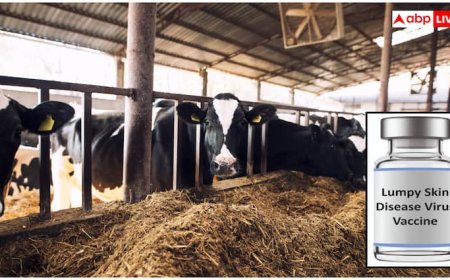 अब नहीं रहेगा लम्पी स्किन डिजीज का डर, भारत बायोटेक ने लॉन्च की नई वैक्सीन