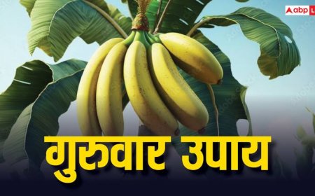 Guruwar Upay: केले की जड़ से जुड़ा कौन सा उपाय भाग्य बदल सकता है ?