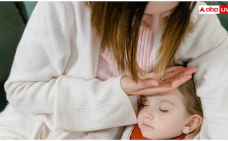 किस देश में डेंगू से सबसे ज्यादा होती हैं मौतें, किस नंबर पर आता है भारत?