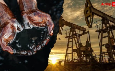 अब UAE से ज्यादा अमेरिका एक्सपोर्ट कर रहा भारत को काला सोना, लिस्ट में आया एक पायदान ऊपर