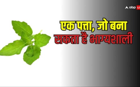 Holy Basil: तुलसी का सिर्फ 1 पत्ता पलट सकता है आपकी किस्मत! ये रहस्य जानकर हैरान रह जाएंगे