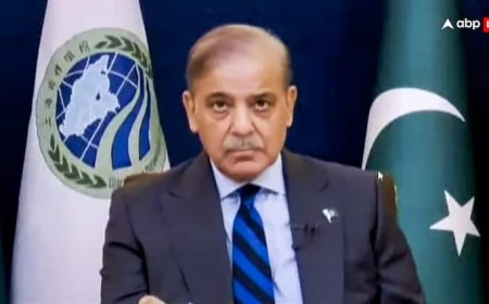 'मुझे रात 2.30 बजे असीम मुनीर का कॉल आया...', शहबाज शरीफ ने खुद बताया ऑपरेशन सिंदूर में कहां-कहां हुआ नुकसान