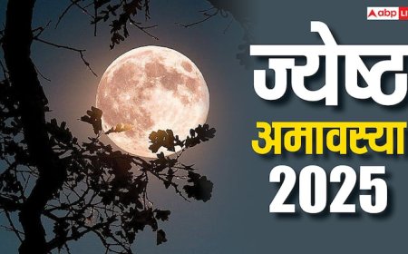 Jyeshtha Amavasya 2025: ज्येष्ठ अमावस्या कब? जानें शुभ मुहूर्त और महत्व