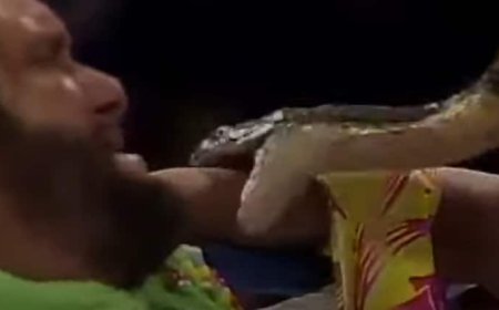 लाइव चल रहा था रेसलिंग का मैच तभी खिलाड़ी ने बैग से निकाला कोबरा सांप और दूसरे खिलाड़ी को कटवाया, वीडियो वायरल