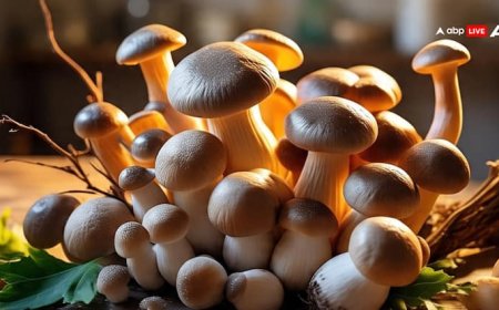 Mushroom for Health: खून बढ़ाने में कितनी कारगर है मशरूम की सब्जी, क्या-क्य मिलते हैं फायदे?