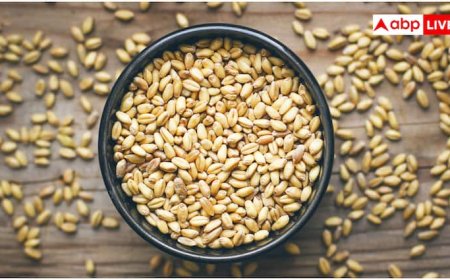 Soaked Wheat: गेहूं खाने का जान लें ये तरीका...नहीं पड़ेंगे बीमार, बंद हो जाएंगी दवाइयां