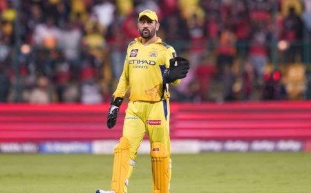 IPL 2025: मैं धोनी की जगह होता तो कहता 'बस अब बहुत हुआ', दिग्गज क्रिकेटर ने कही बड़ी बात