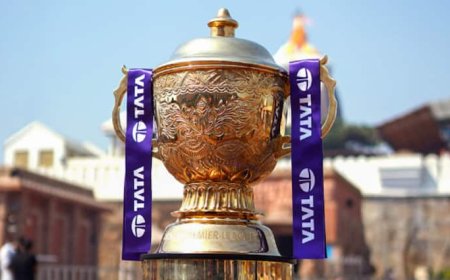 IPL के एक मैच से BCCI की कितनी होती है कमाई? जानें