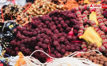 सेहत के लिए अमृत से कम नहीं है रुद्राक्ष का पानी, जानें क्या-क्या होते हैं इसके फायदे