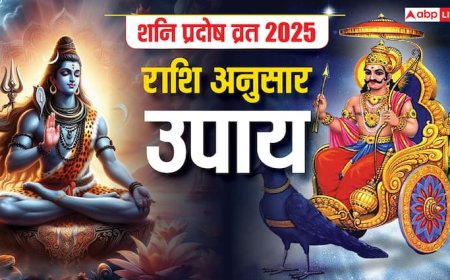 Shani Pradosh Vrat 2025: शनि प्रदोष व्रत पर अपनी राशि अनुसार करें इन चीजों का दान