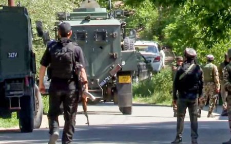 किश्तवाड़ के जंगलों में सुरक्षाबलों ने घेर लिए हैं तीन आतंकी, सेना का ऑपरेशन 'त्राशी' जारी