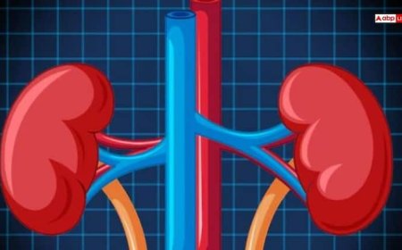 किडनी को फिल्टर की तरह साफ कर देंगे ये 6 स्वादिष्ट फल, खाते ही सारी गंदगी हो जाएगी बाहर