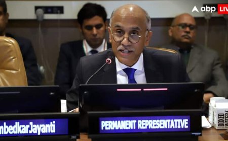 'आतंकी हमलों में मारे गए 20000 भारतीय', UNSC में भारत ने पाकिस्तान की उड़ाई धज्जियां