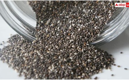 Chia Seeds: चिया सीड्स खाने का तरीका जान लें... इतनी मात्रा में करें सेवन, नहीं तो जाना पड़ेगा डॉक्टर के पास