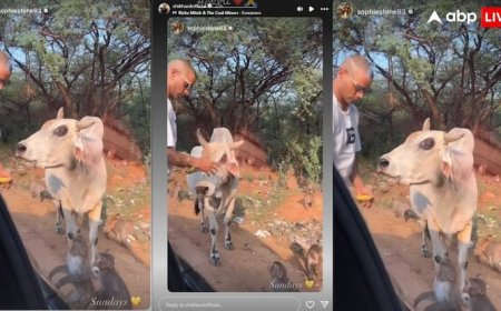 शिखर धवन ने की गौ सेवा, गर्लफ्रेंड सोफी शाइन ने शेयर किया क्रिकेटर का वीडियो