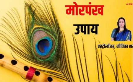 Vastu Tips: घर में धन लाभ के लिए कितने मोरपंख रखने चाहिए ?