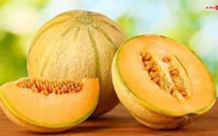 फेंकने के बजाय रोजाना करें इस खरबूजे के बीजों का सेवन, सेहत को मिलेंगे जबरदस्त फायदे