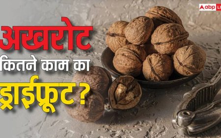 रोज खाएं इतने अखरोट...दिमाग होगा तेज, वजन रहेगा कंट्र्रोल, डाइजे​शन में भी दिखेगा सुधार