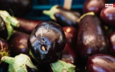 बैंगन की सब्जी खाने से क्या वाकई होता है पथरी होने का खतरा? ये रहा जवाब