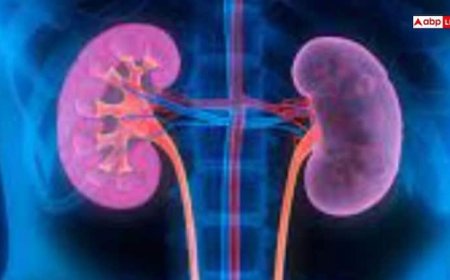 इस सस्ती चीज से करें किडनी को क्लीन, पूरा शरीर हो जाएगा साफ