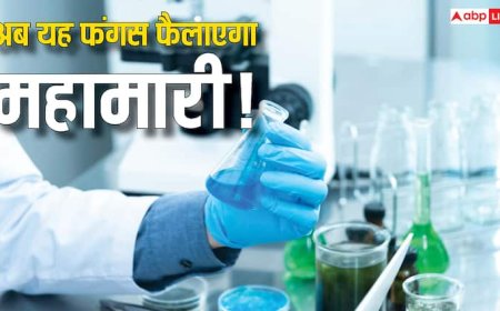 इंसान के मांस को खाने वाला फंगस बनेगा बड़ा खतरा? नई महामारी का अलर्ट