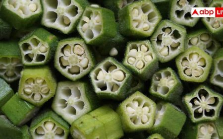 भिंडी का पानी पीने के ये हैं गजब के फायदे, ज्यादातर लोग नहीं जानते हैं ये बात