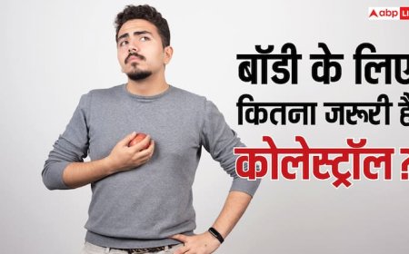 आपके शरीर के लिए कितना जरूरी होता है कोलेस्ट्रॉल? ज्यादातर लोग नहीं जानते ये बात